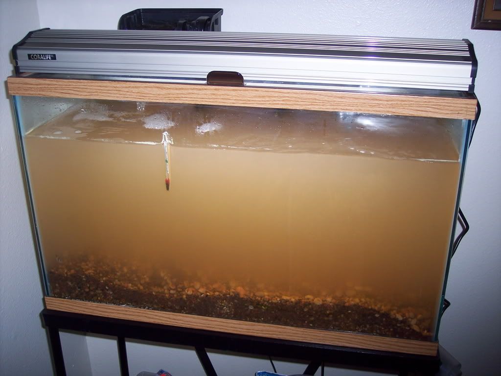 100_1734.jpg