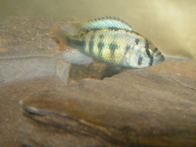0901030114.jpg