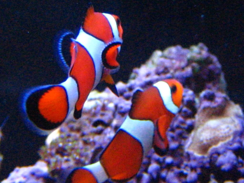 IMG_1011.jpg
