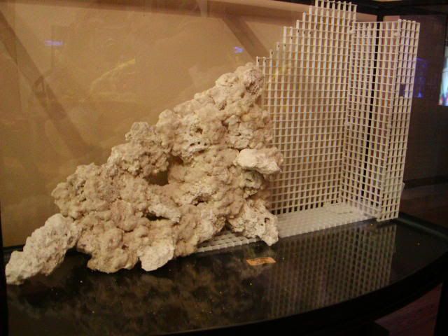 P1010020-9.jpg