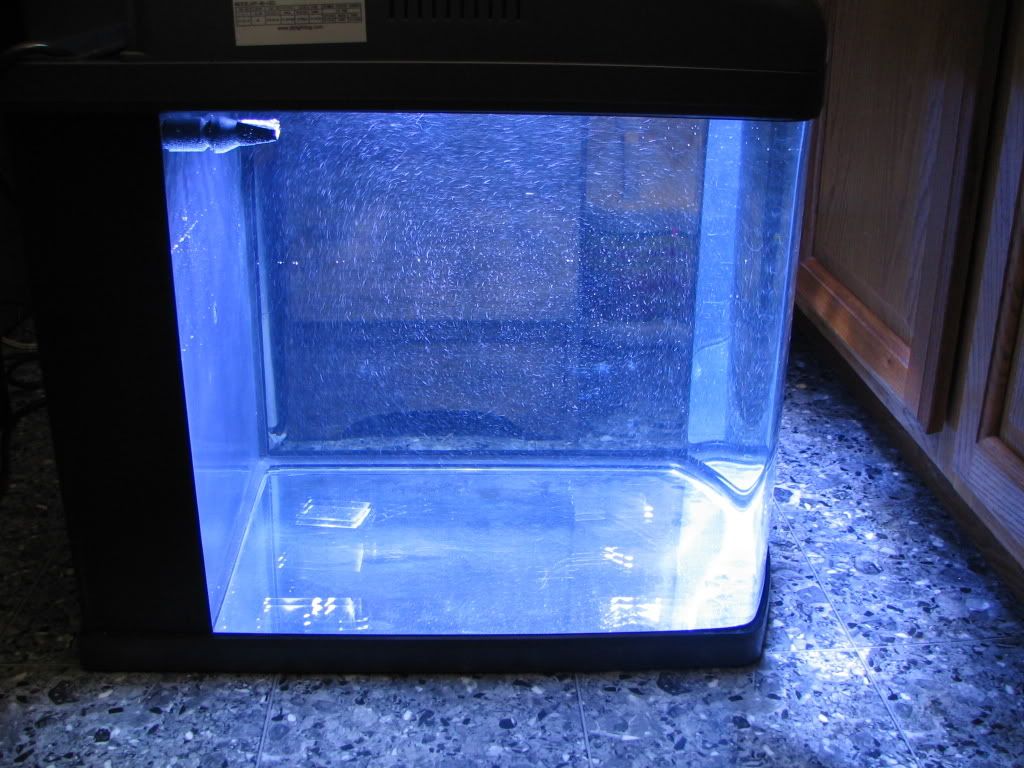 Picture1019.jpg