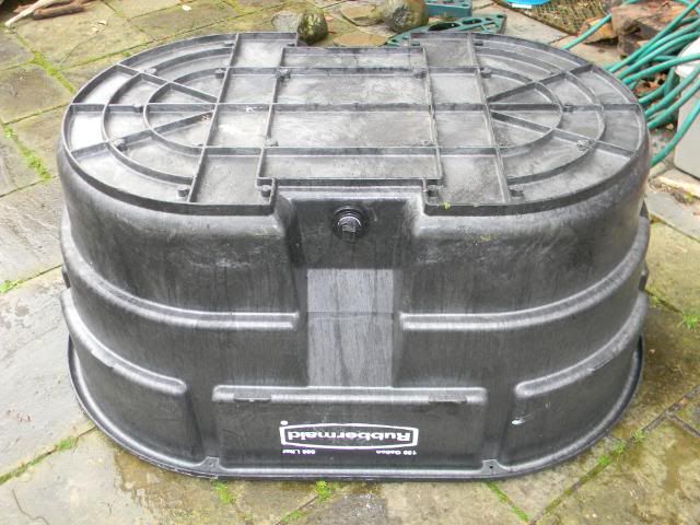 DSCN2917.jpg