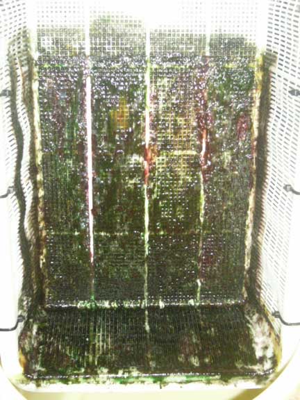 UserCreetinOnSRC-6.jpg