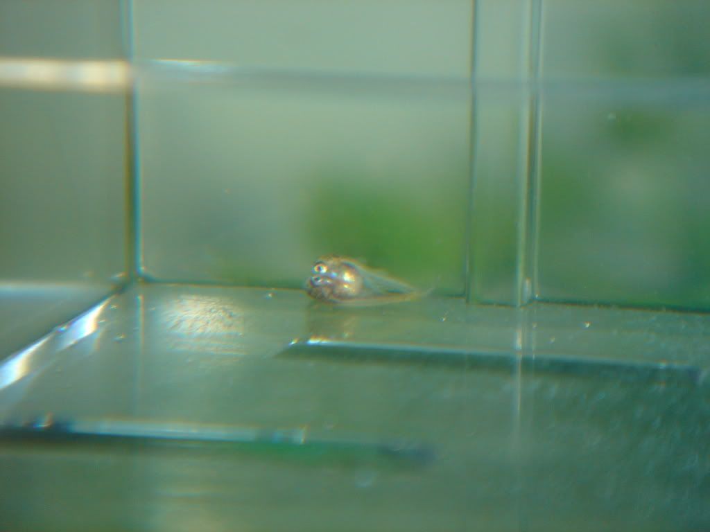 DSC01834.jpg