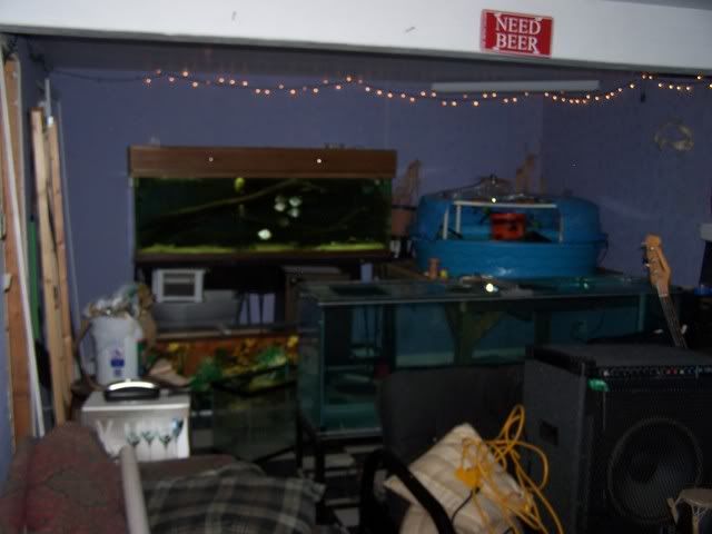 Picture147.jpg