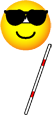 blind-emoticon.gif