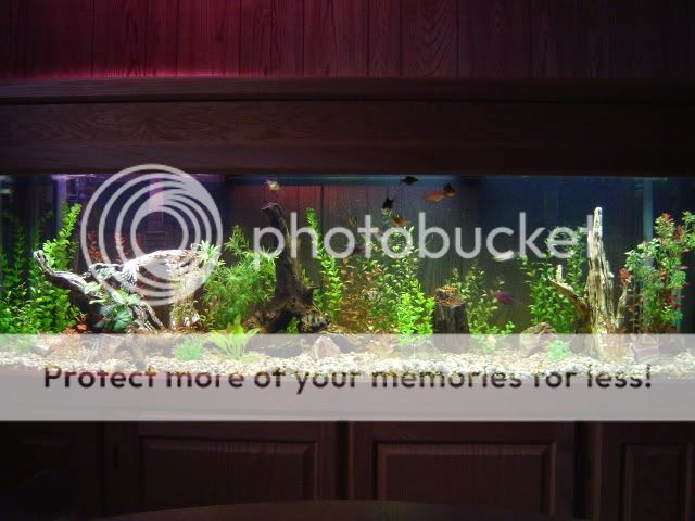 DSC01258.jpg
