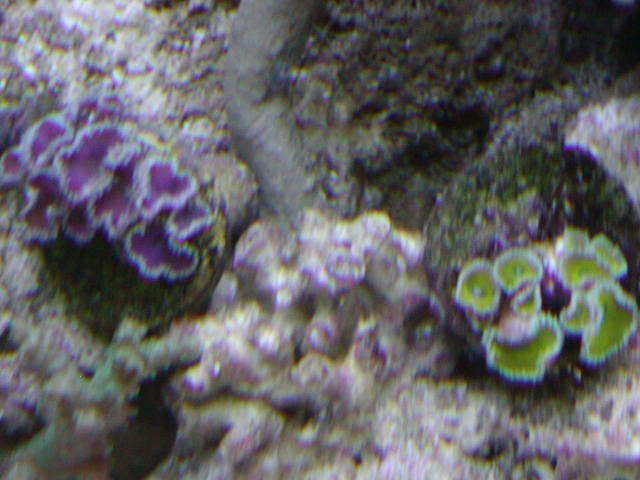 P1010050-9.jpg