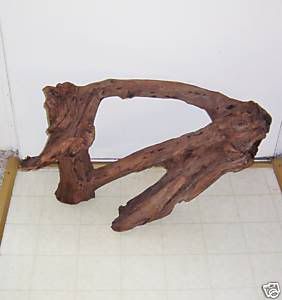 driftwood.jpg
