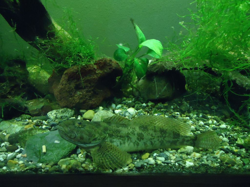 DSC07538.jpg