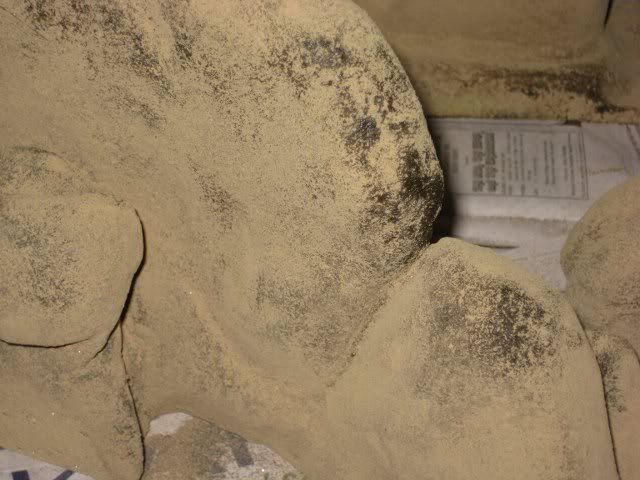 IMG_1388_640x480.jpg