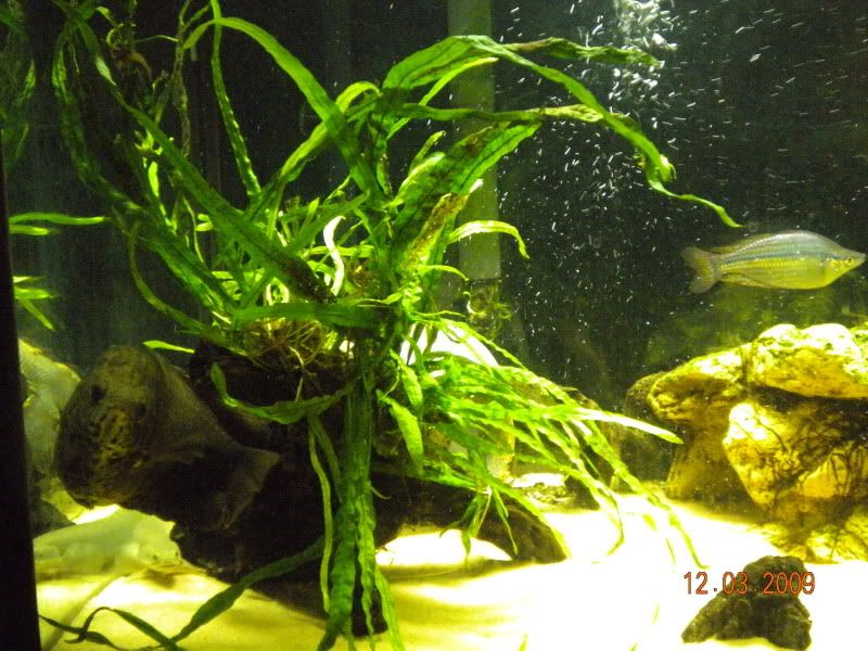 DSCN0094.jpg