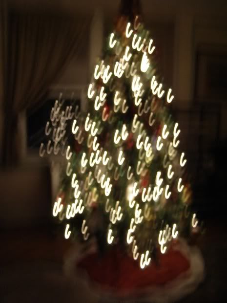 tree2.jpg