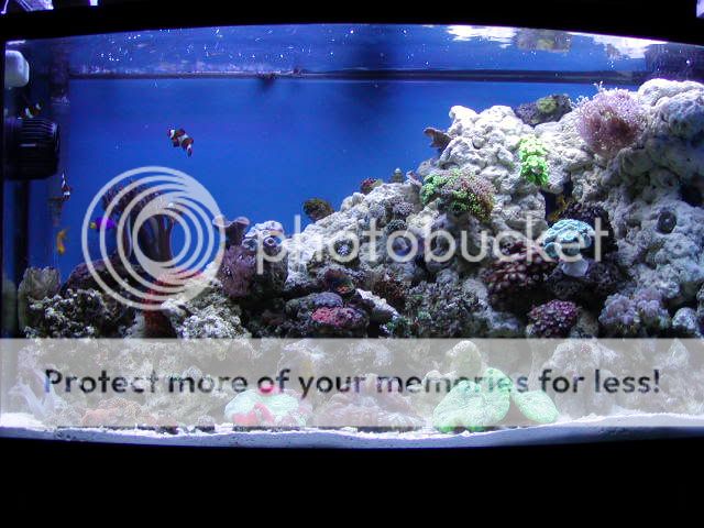 P1010026-3.jpg