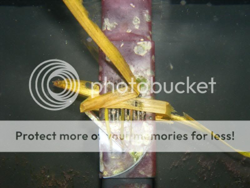 DSCF4460.jpg