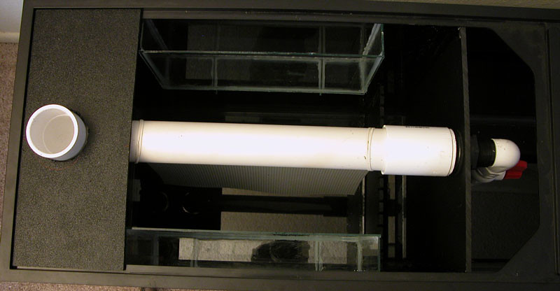 5639312916_24660994ef_b.jpg