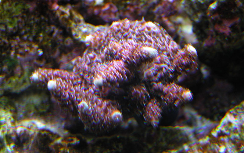2886120759_08999cb9cb_o.jpg