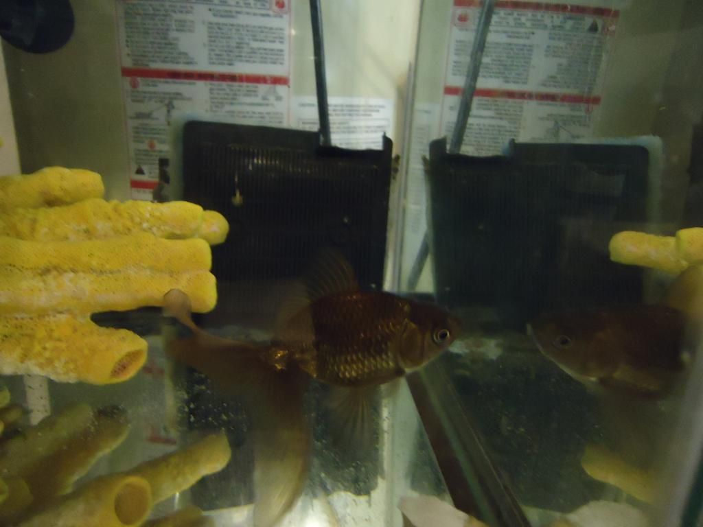 DSC08122.jpg