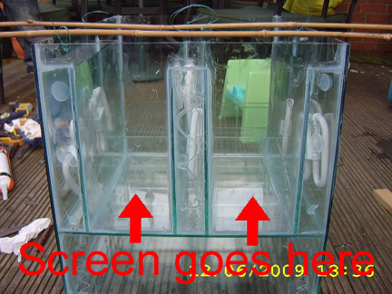 UserOceanRockOnAS-2.jpg