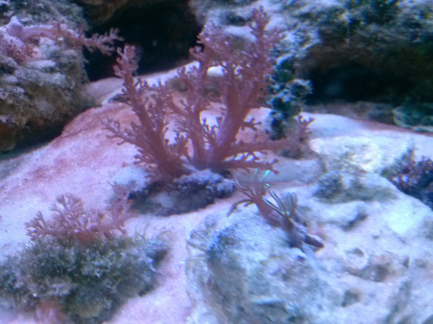 CAM00460.jpg