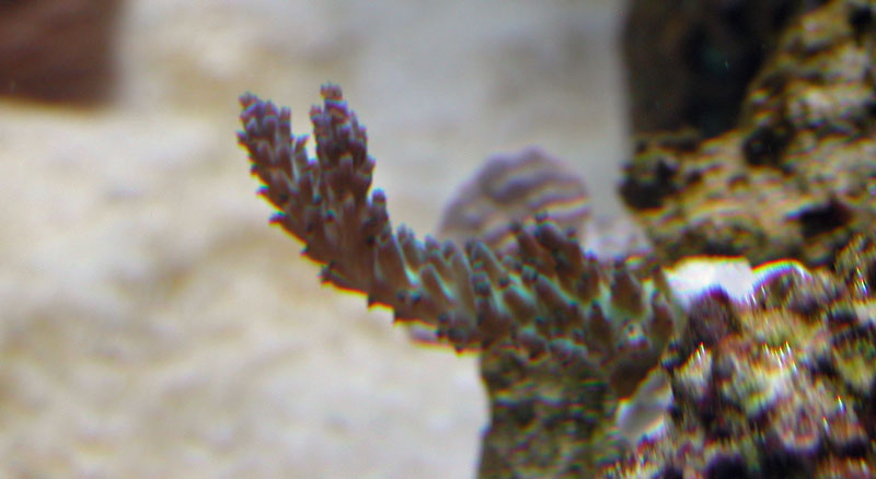 2812205153_3d374b28ea_o.jpg