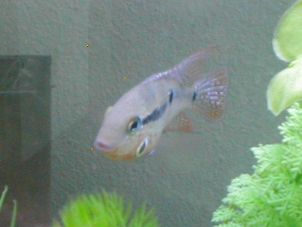 P1010004.jpg