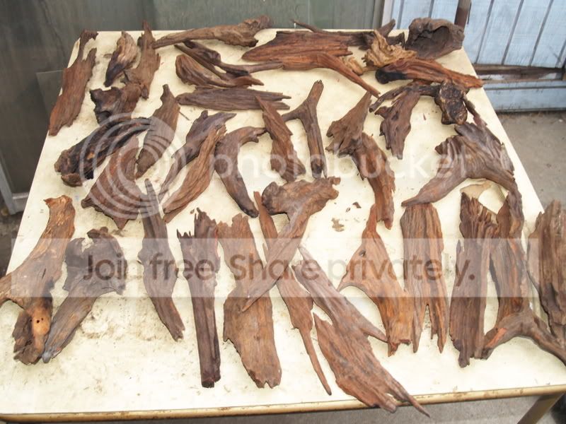 boxofwood1_04.jpg