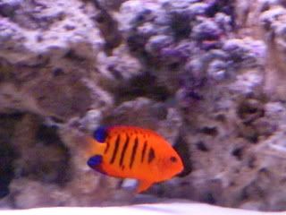 DSCN1279.jpg