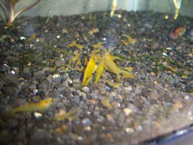100_6028.jpg
