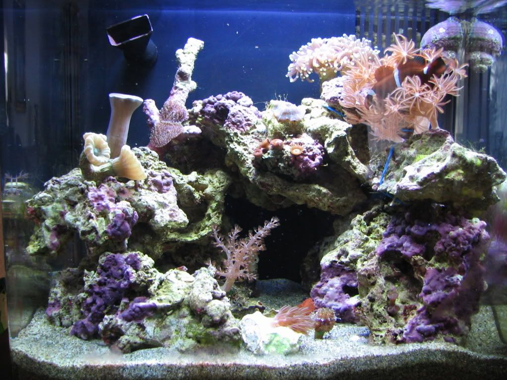 Ocean199.jpg