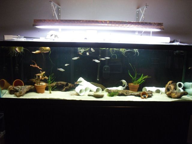 125g-3.jpg