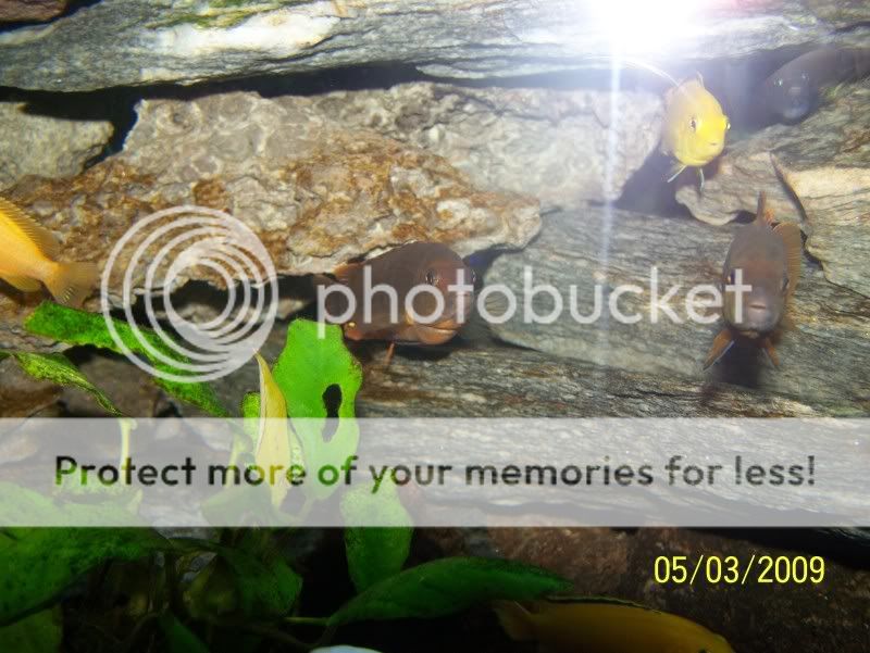 100_1524.jpg