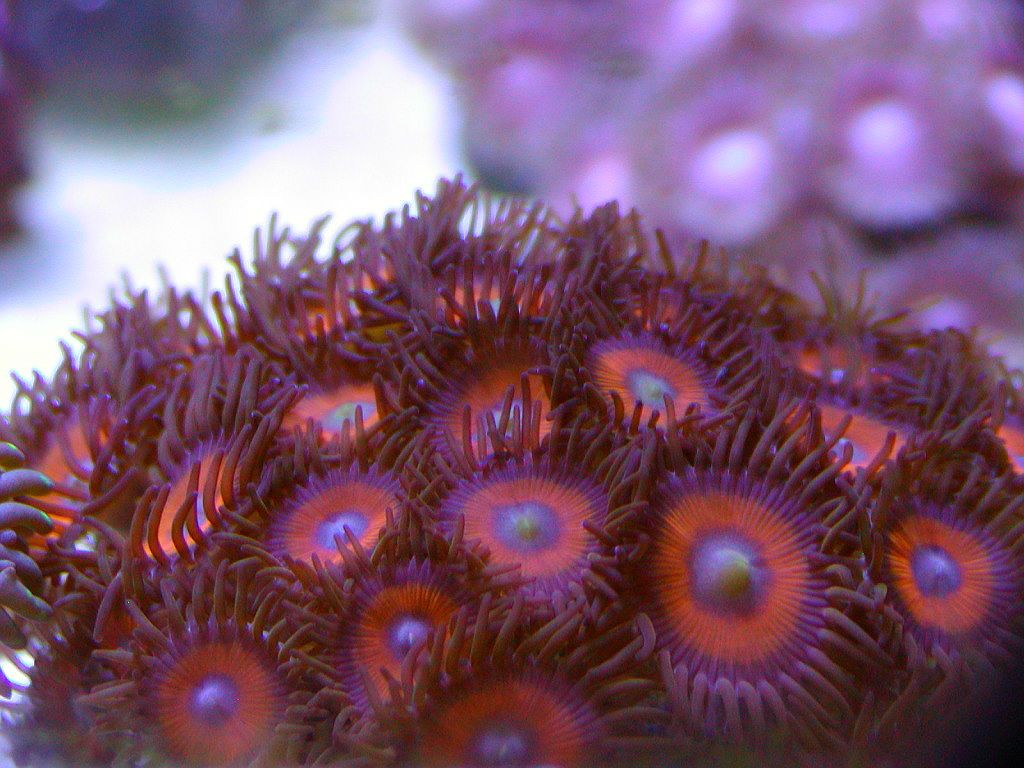 Untitled-154.jpg
