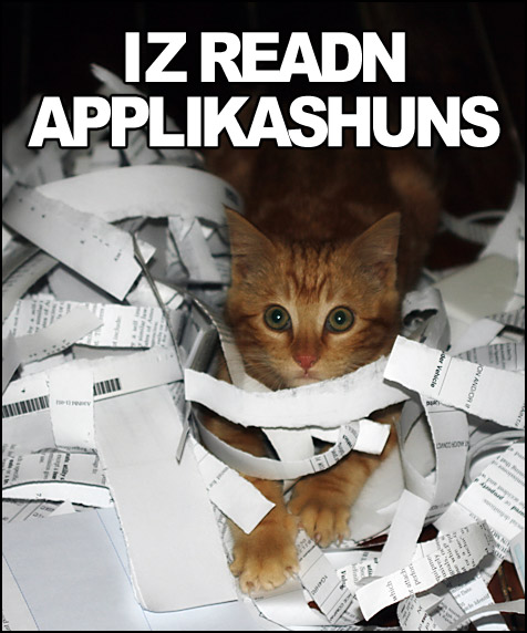 lolzcats.jpg