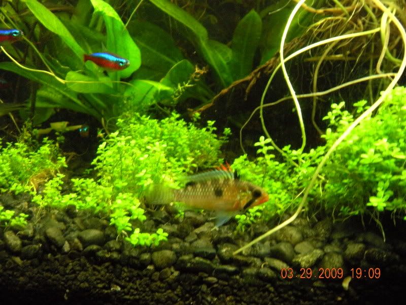 DSCN0699.jpg