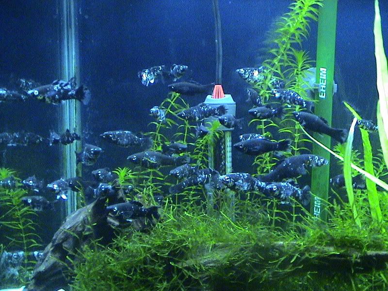 DSC05123.jpg