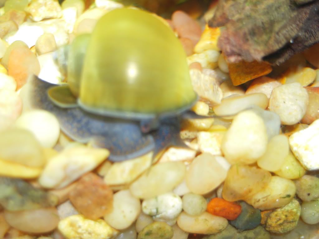 DSCN1327.jpg