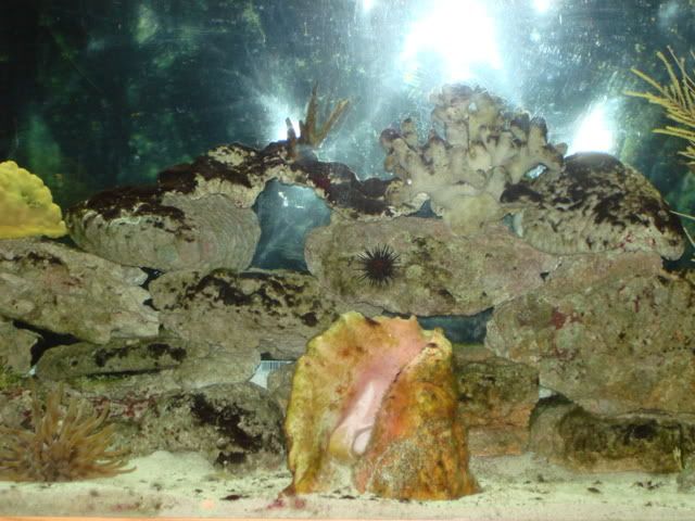 DSC00651-1.jpg