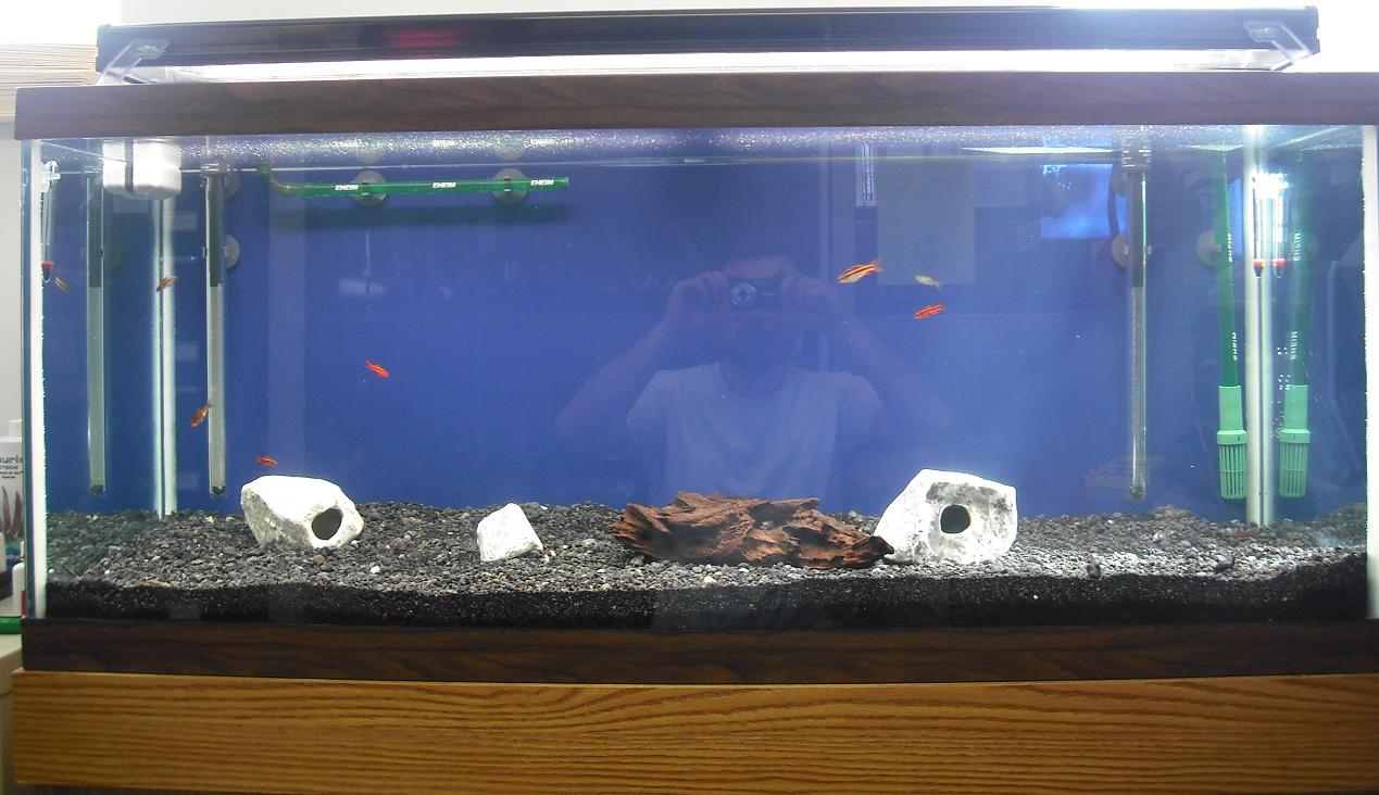 FTS_w_lights.jpg