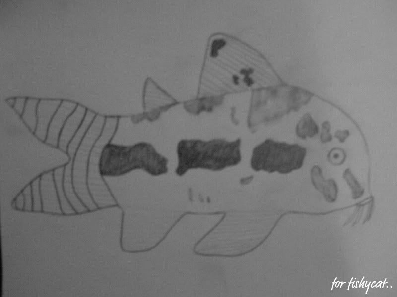 HabCorydoras.jpg