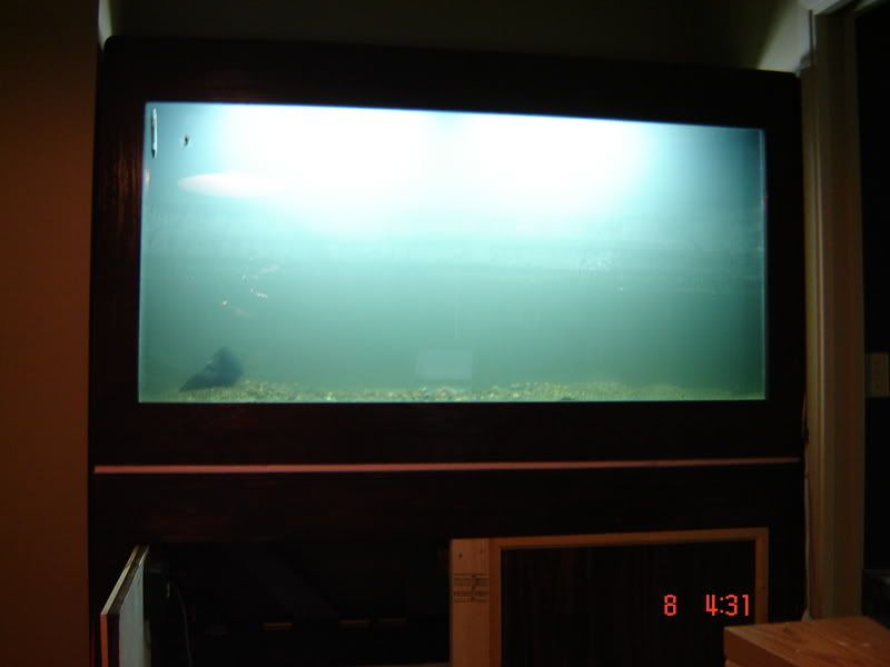 DSC03039.jpg