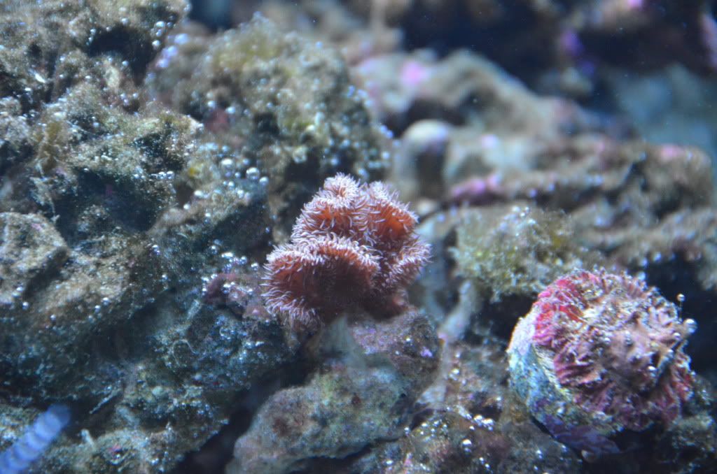 DSC_0709.jpg