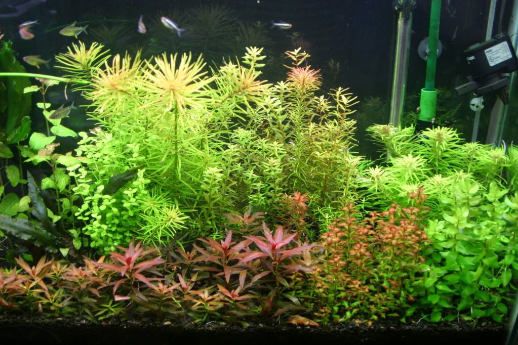 60g04-12-10005.jpg