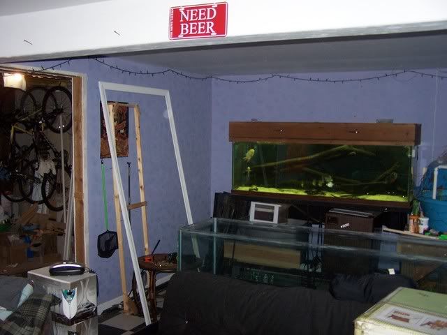 Picture140.jpg