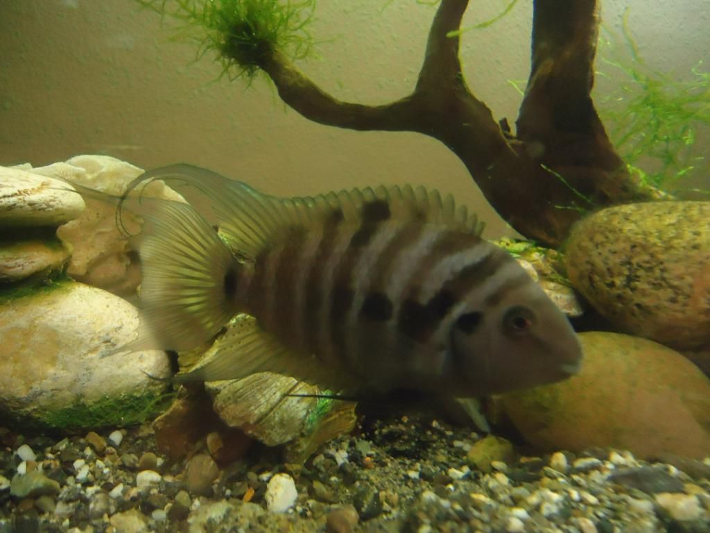 DSC07243.jpg