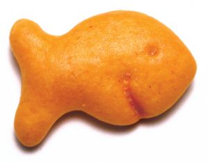 goldfish_cracker.jpg