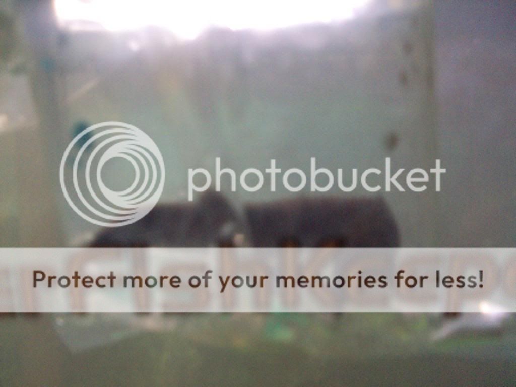 DSC00201.jpg