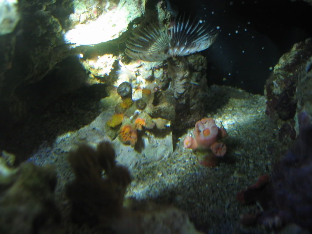 Ocean959.jpg