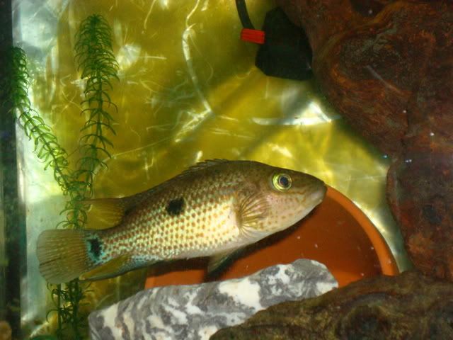 DSC00559.jpg