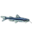 www.planetcatfish.com